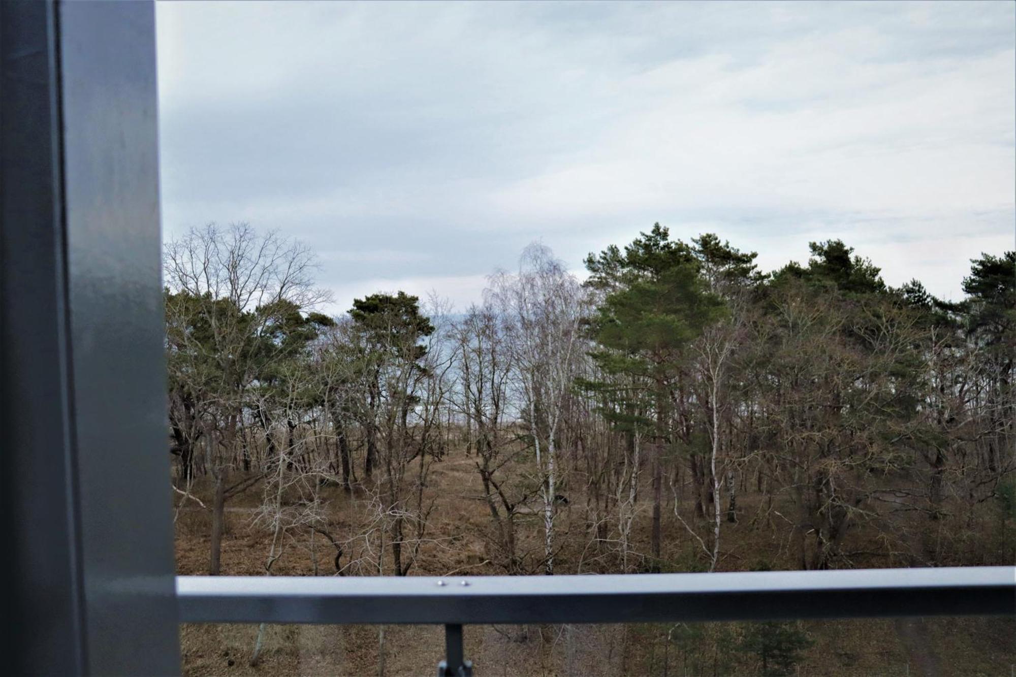 Fewo Prora - Ausblick Binz Extérieur photo